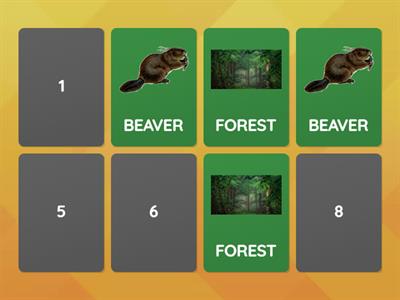  beaver achiever- IF/ELSE