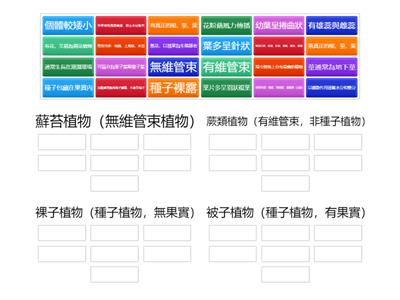 7下3-5植物界分類特性