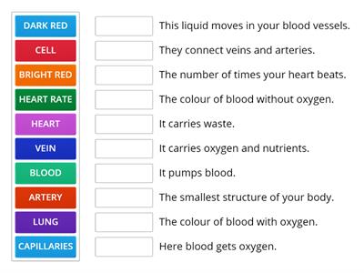 Circulatory System Matching up