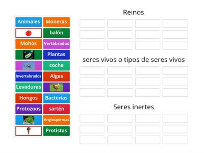  Clasificación seres vivos