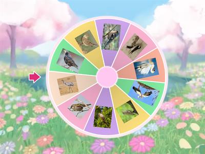 ПЕРЕЛІТНІ ПТАХИ