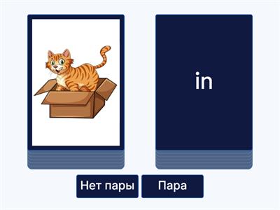 in, on, under, next to, between, in front of, behind, 