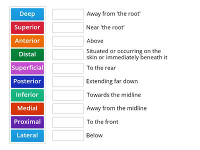 Anatomical Terminology