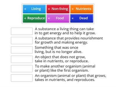 Living and Non-Living Things