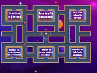 Structures and Functions