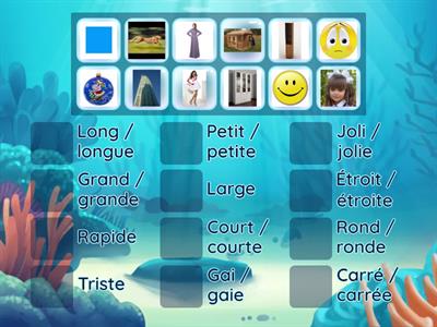 Les adjectifs