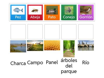 Empareja cada animal con el lugar donde lo solemos encontrar