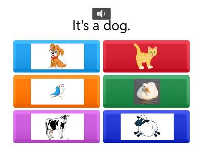 NHÀ TRẺ REVIEW  ANIMALS