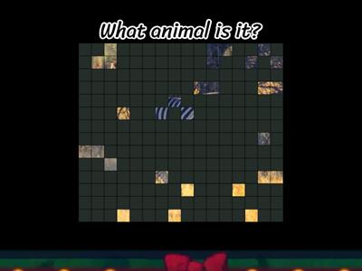 Look 2 - Unit 9 - Animals Image Quiz