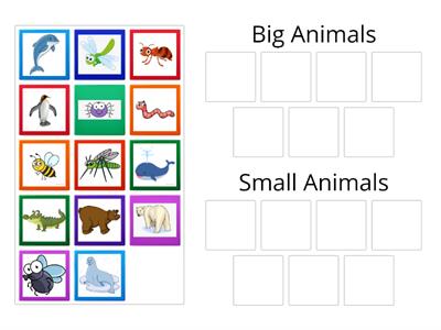 Big & Small animals