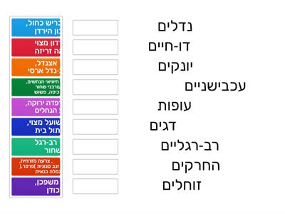 מחלקות בעלי חיים