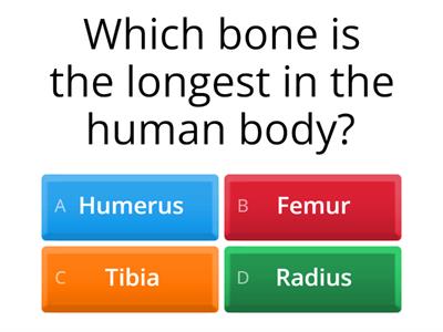 Medical Quiz