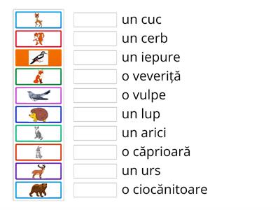 Animale salbatice /egyezés