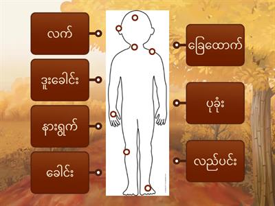 body parts 2 _ Burmese _ Myanmar
