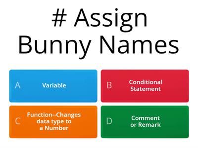 Bunny Coding