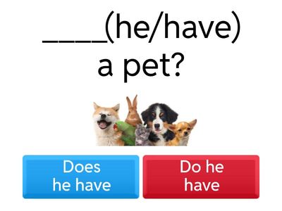 Present Simple do / does