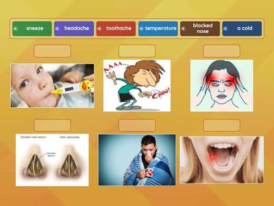 GG3 Unit 5 v1 Health problems(match up)