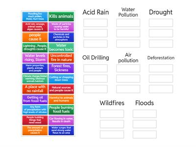 Environmental Problems