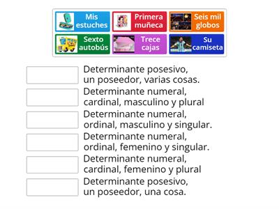  Determinantes numerales y posesivos