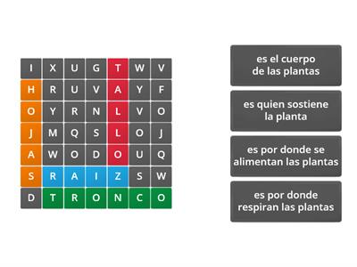 Partes de las plantas