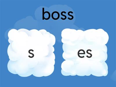 CVC words ending in s or es?