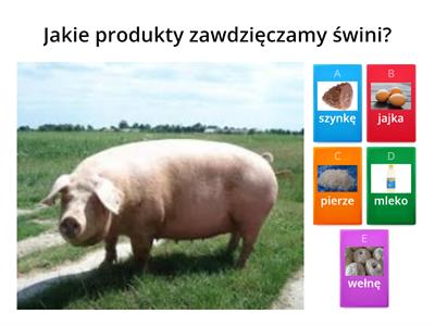 Zwierzęta wiejskie i produkty 