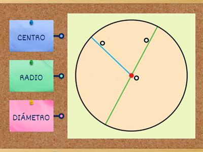 CIRCUNFERENCIA