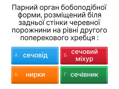 Будова сечовидільної системи