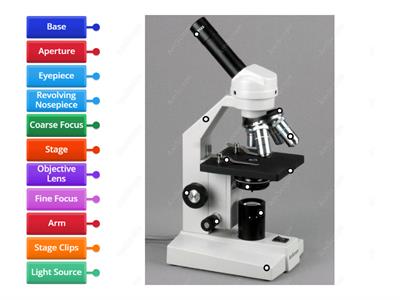 Practice: Parts of a Microscope