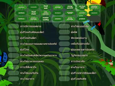 ecosystem (ระบบนิเวศ)