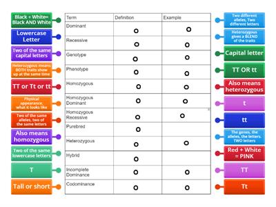 Genetics Vocab