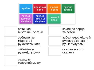 Опорно-рухова система