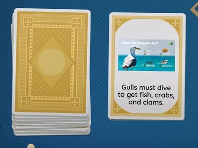 Dive into the Waves - Speaking Practice