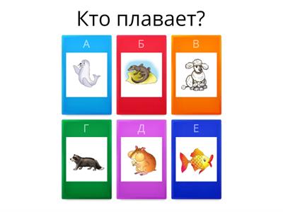 Кто как передвигается. 4 тип ССС