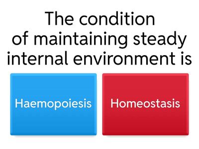 The Circulatory System