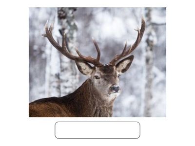 только одна буква