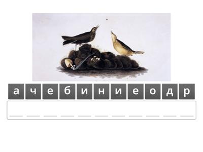 семейное права