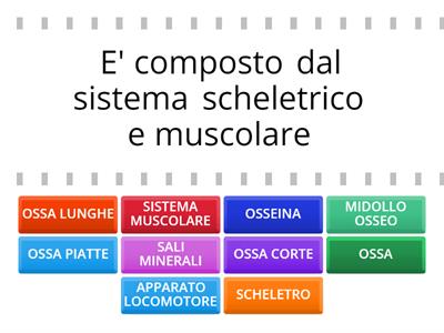 IL SISTEMA SCHELETRICO