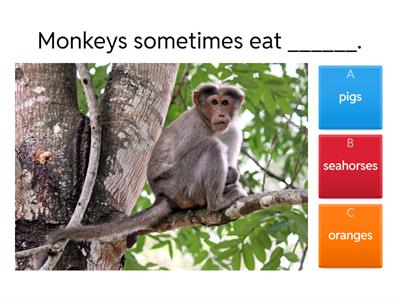 What do you know about these animals?