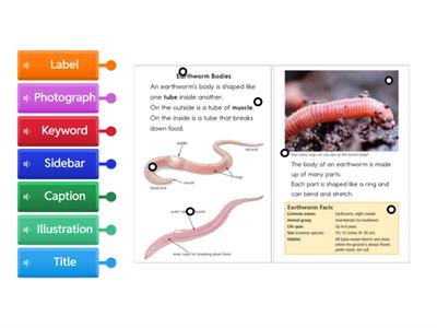 Labeled Text Features