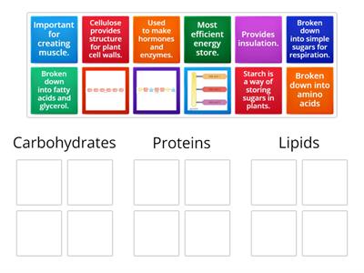 Food Chemistry Group Sort