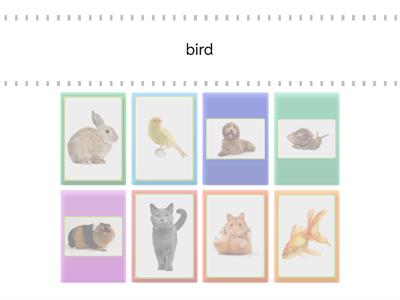 1º primaria animals match