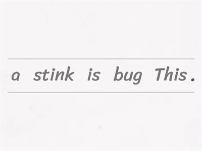 30 - Stink Bug sentences
