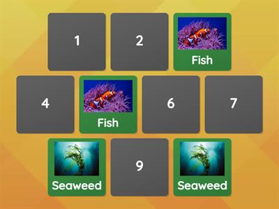 Ocean habitat match