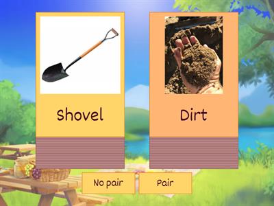 Wild Pairs- All levels