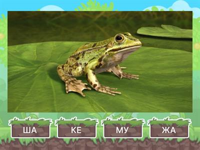 Перший склад у слові |вчимось читати| @pedagog.romaniuk.iryna