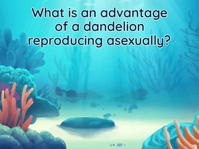 2Q Final Test Review word wall 4