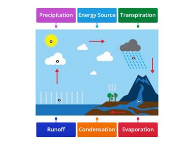 Water Cycle 