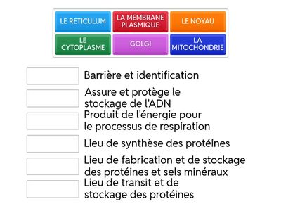 Les organites cellulaires