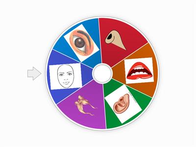 parts of the face
